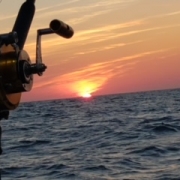 MISS MADISON CHARTER SERVICE, , CAMP ELLIS PIER, ME